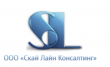 Скай Лайн Консалтинг